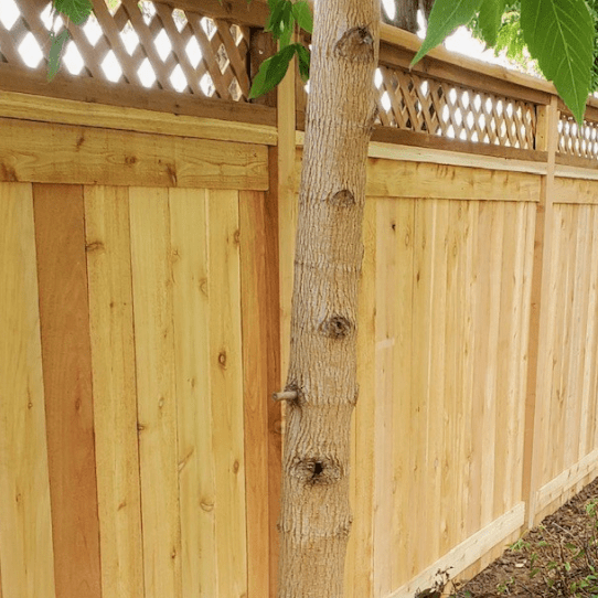 Decorative Cap and Trim Fence