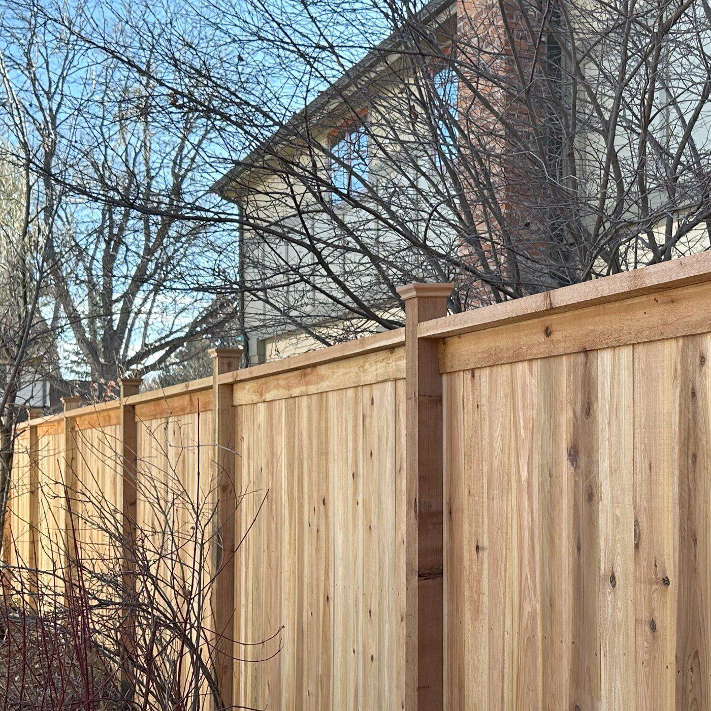 Cedar Privacy Fence w Cap and Trim plus Post Caps