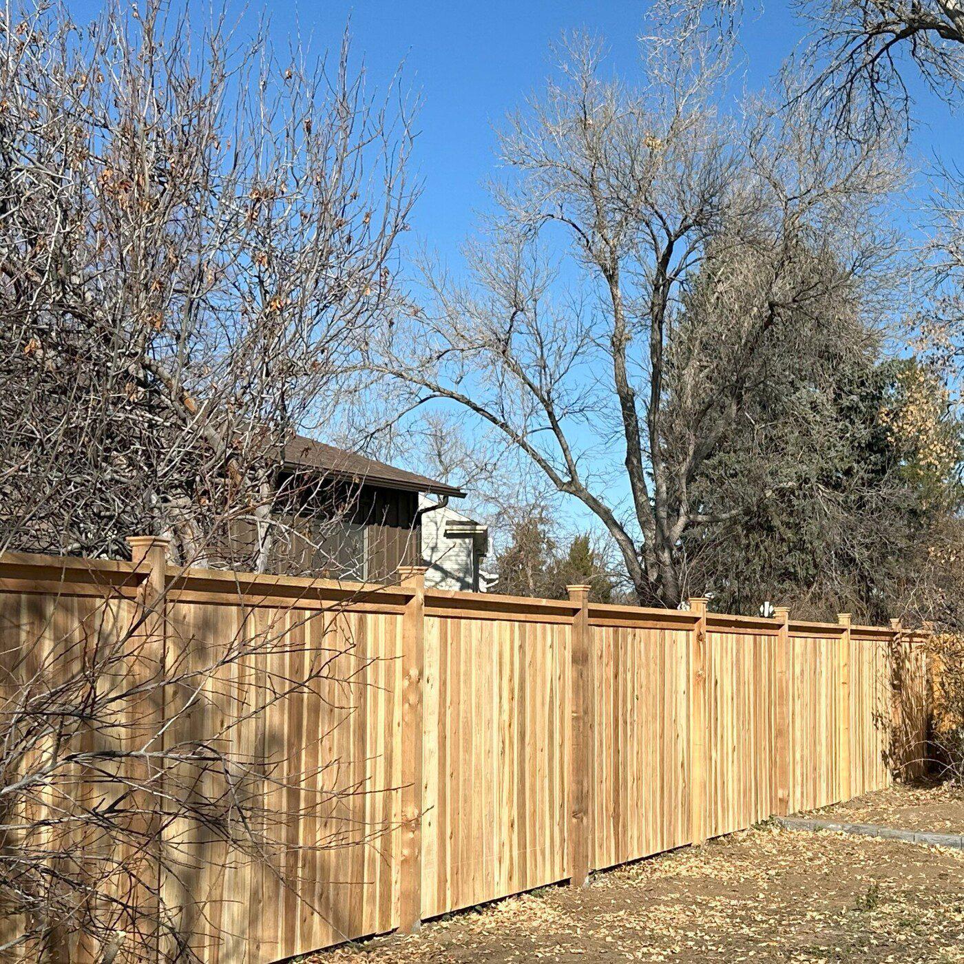 Cedar Privacy Fence w Cap and Trim plus Post Caps