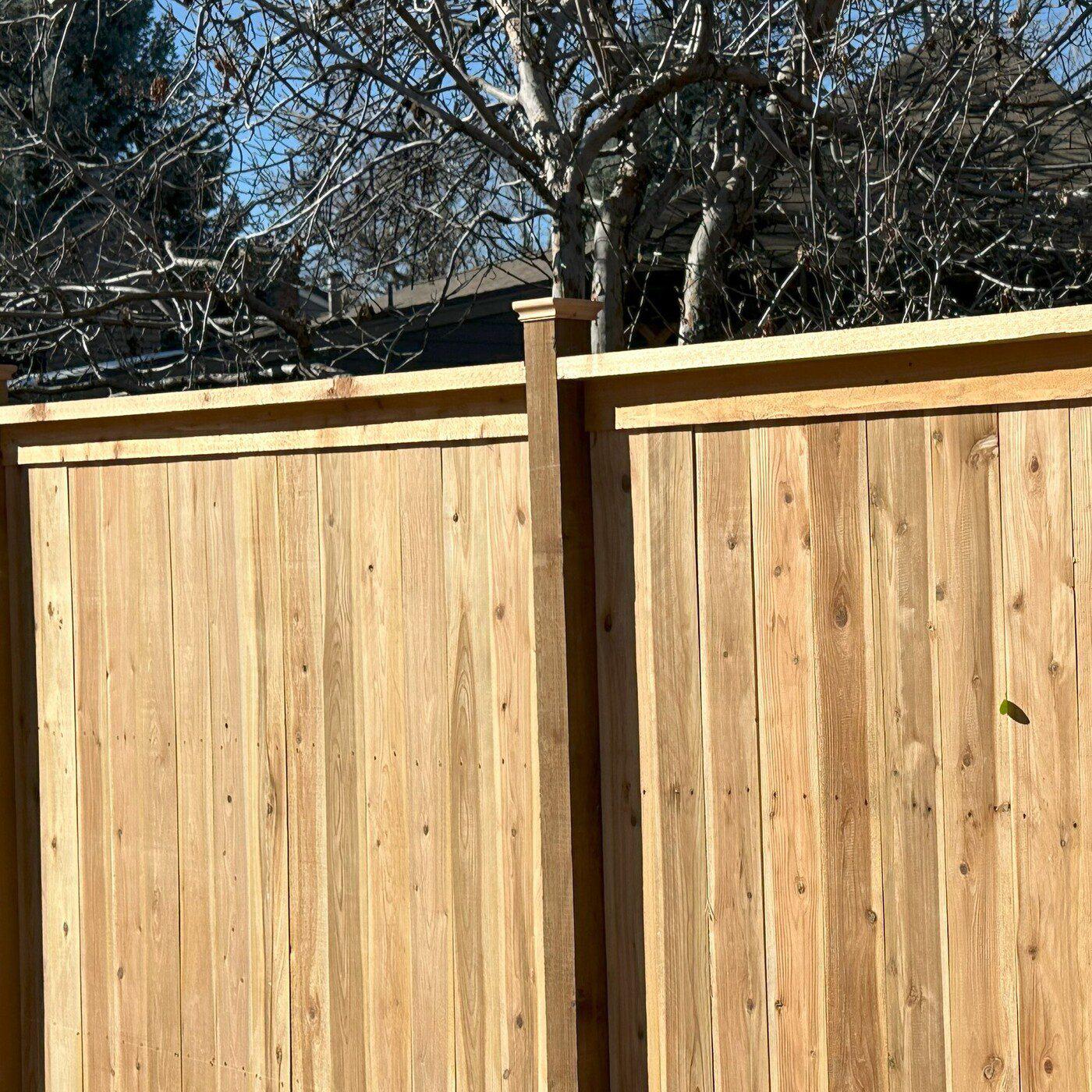Cedar Privacy Fence w Cap and Trim plus Post Caps