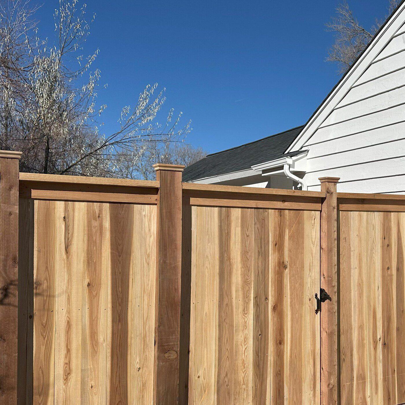 Cedar Privacy Fence w Cap and Trim plus Post Caps