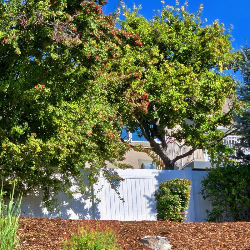 Vinyl Fence Installation