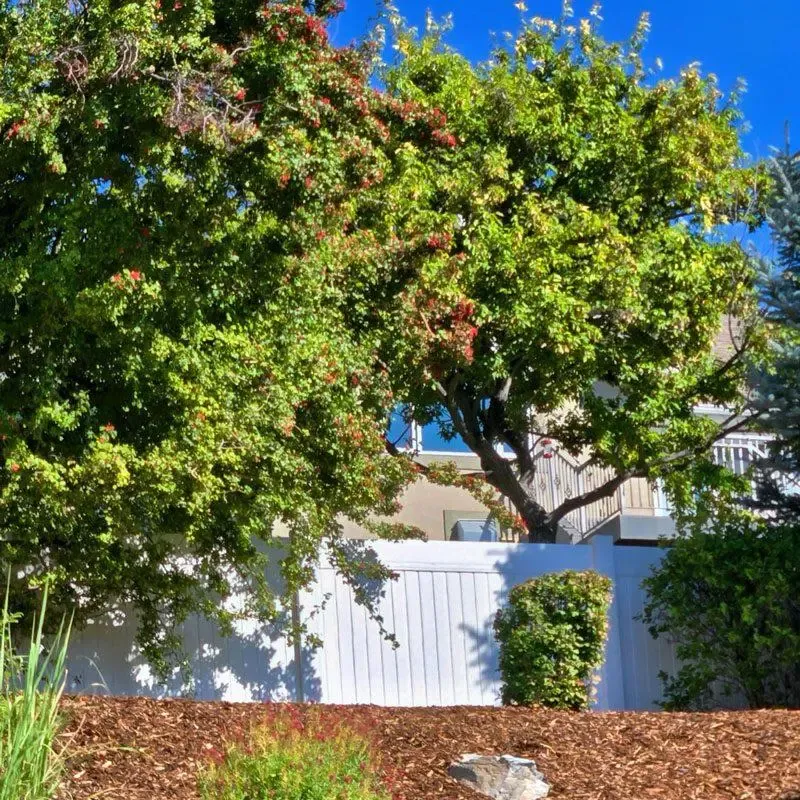 white privacy vinyl fence installed by top rail fence