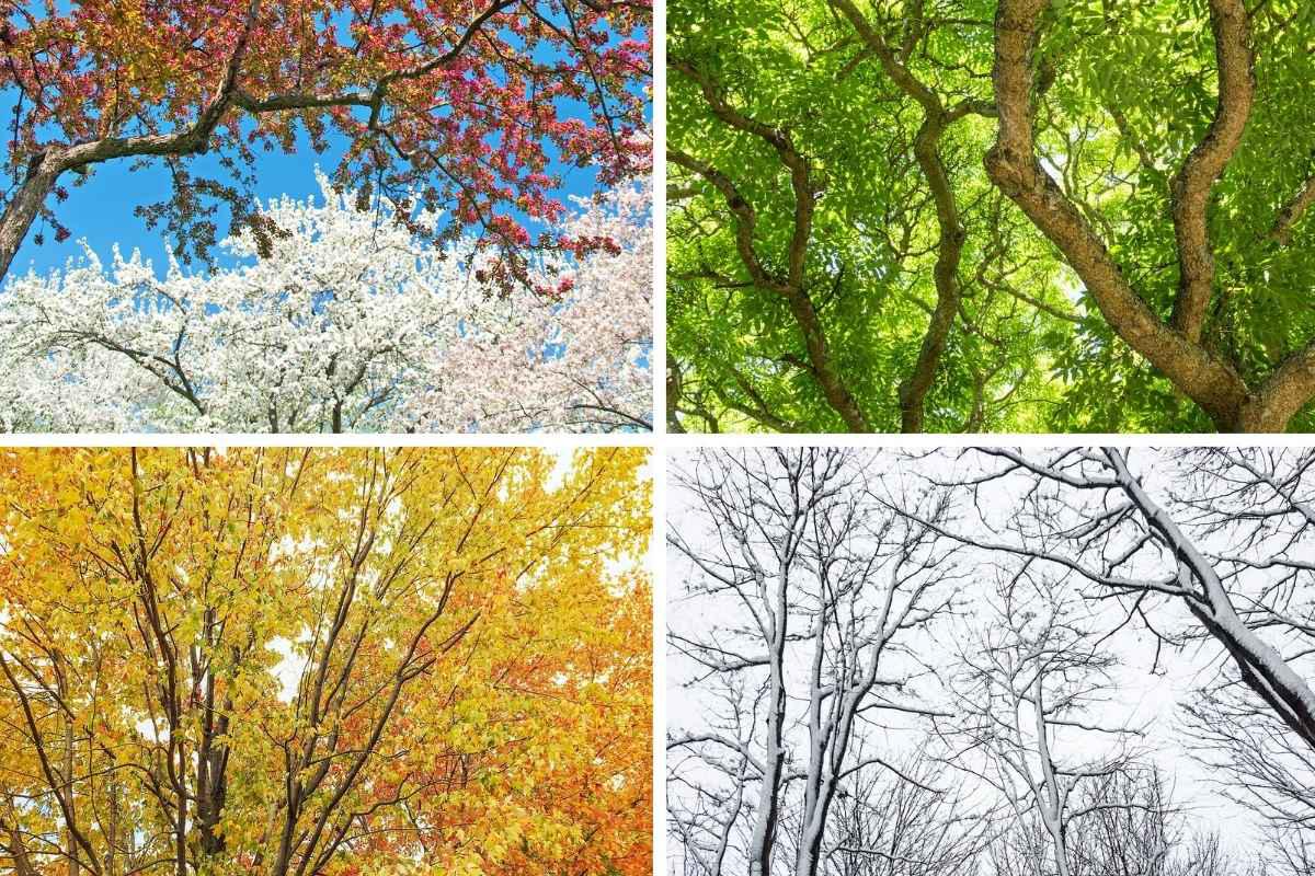 How to Maintain Your Residential Fence in Moseley Throughout the Year