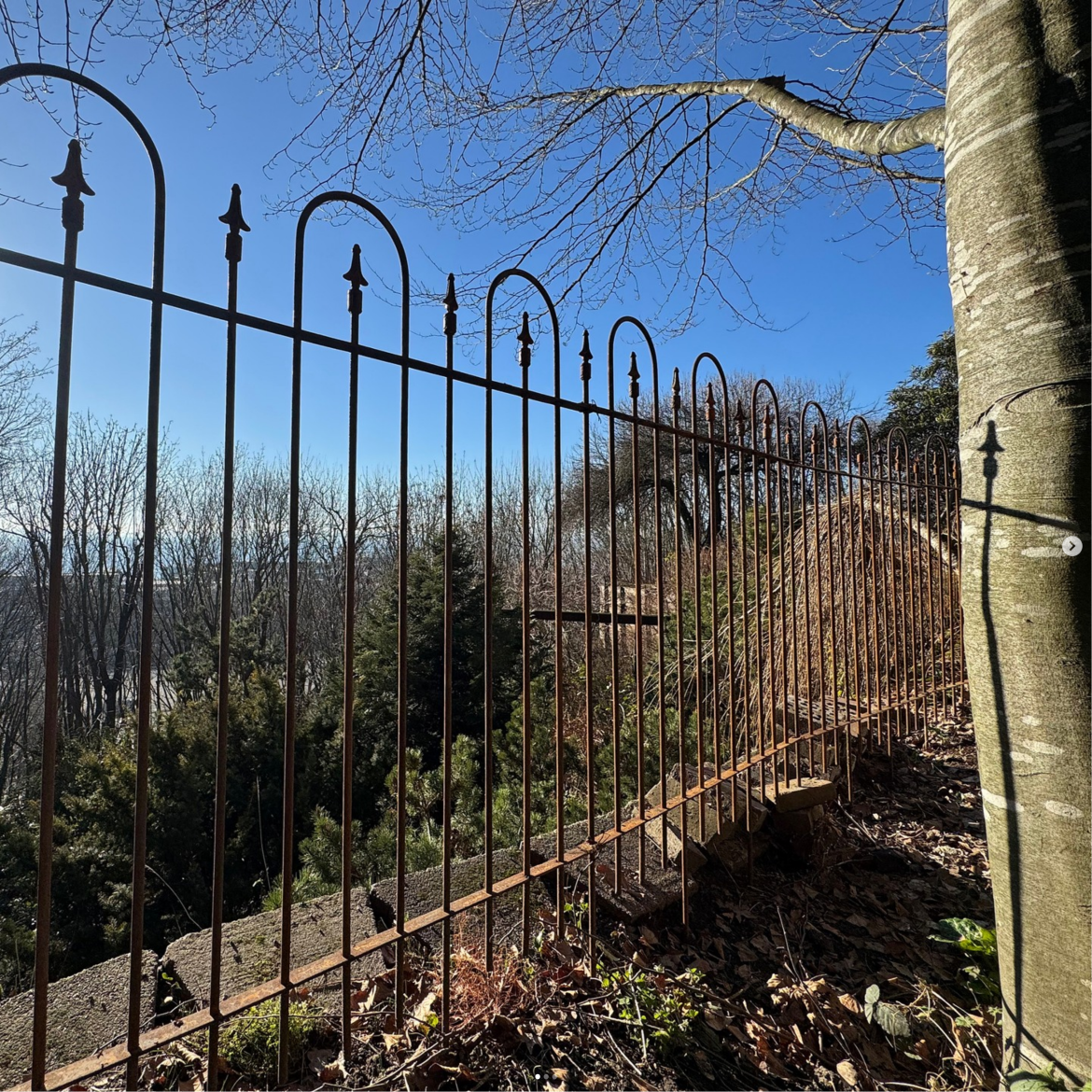 spear top ornamental metal fence installed by top rail fence