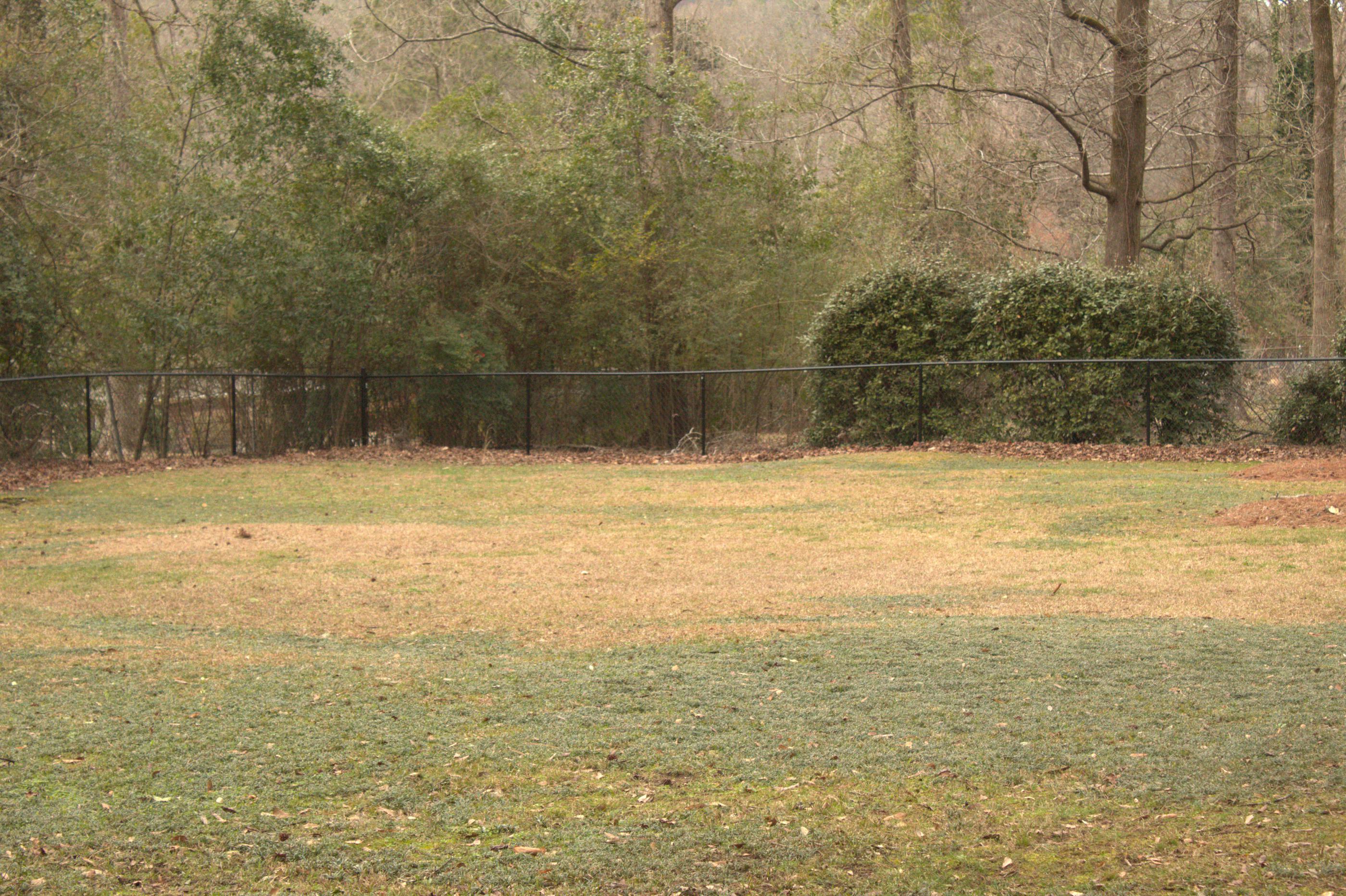 black chain link fence installed by top rail fence