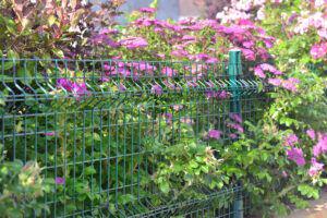 Wire nettting deer fencing