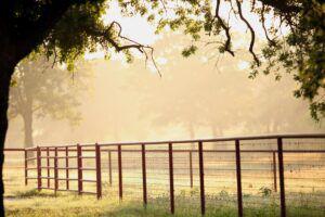 metal pipe horse fencing