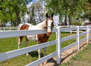 Vinyl post and rail horse fencing
