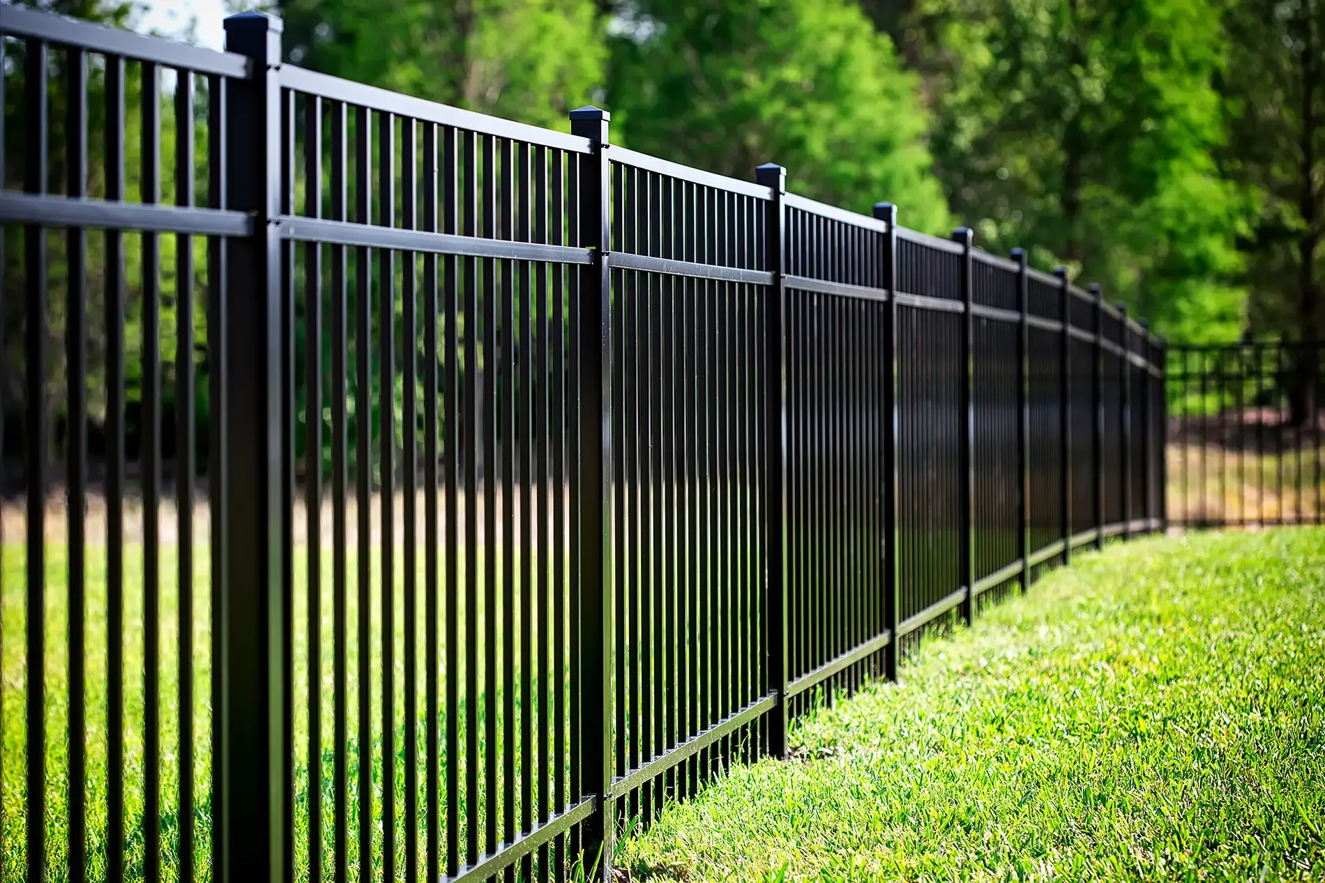 Dog standing in front of a metal fence