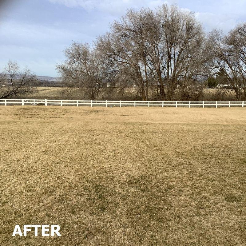 Ranch-Style Vinyl Fence Installation