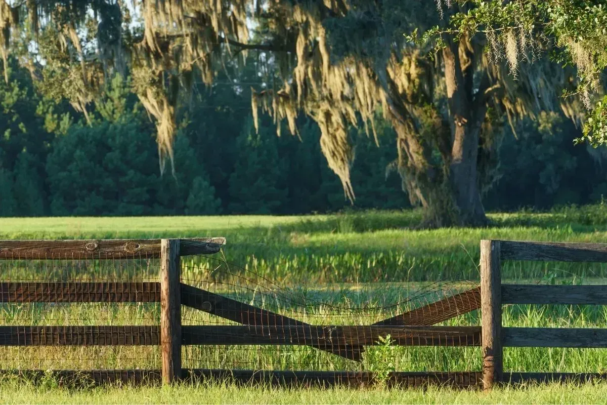 broken agricultural wood fence