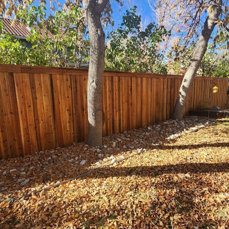 cedar fence installed by top rail fence