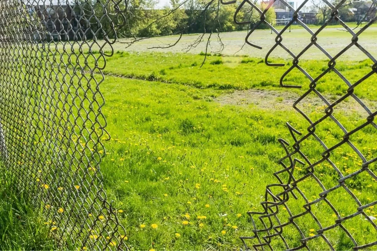Black chain link fence with a large hole