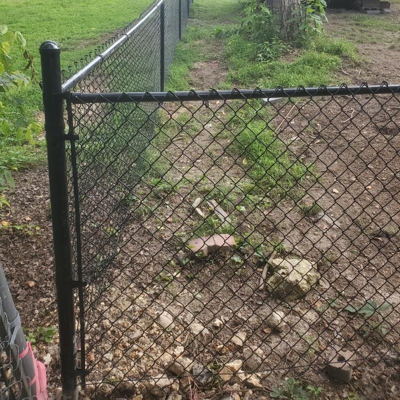 Chain Link & Charleston Wood Fence Installation