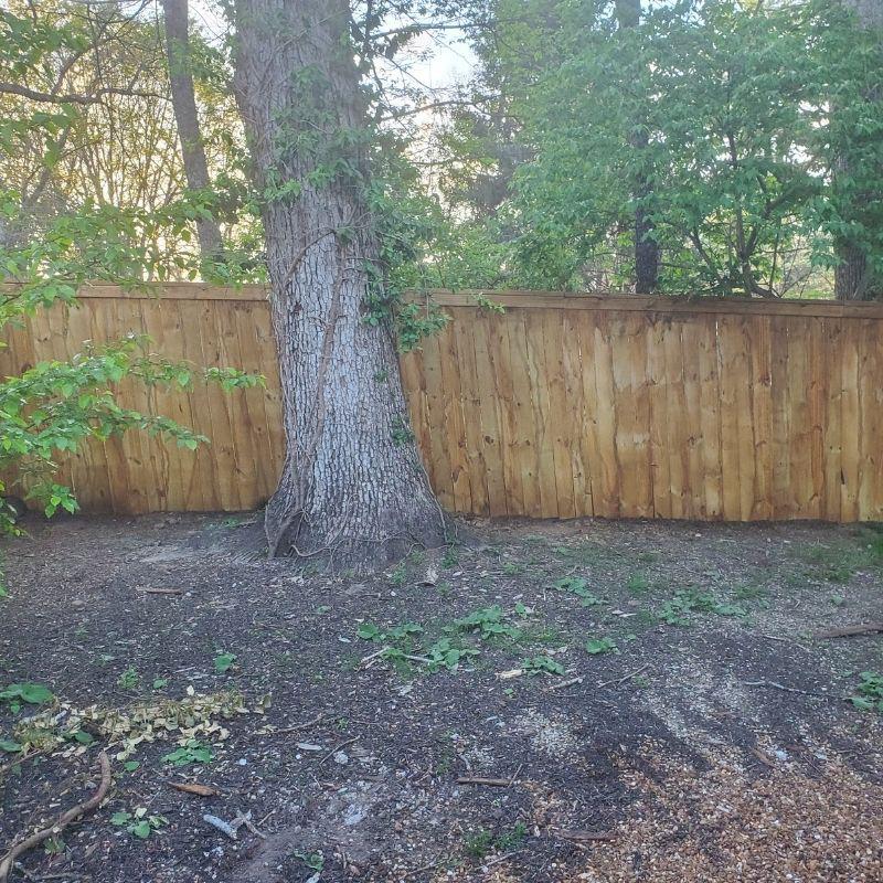 pressure-treated pine privacy fence in a Charleston cap-and-trim style