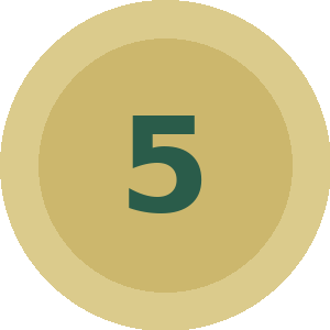 number 5 icon