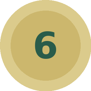 number 6 icon