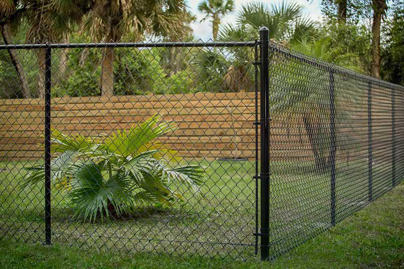 Chain link fence enclosing a yard.