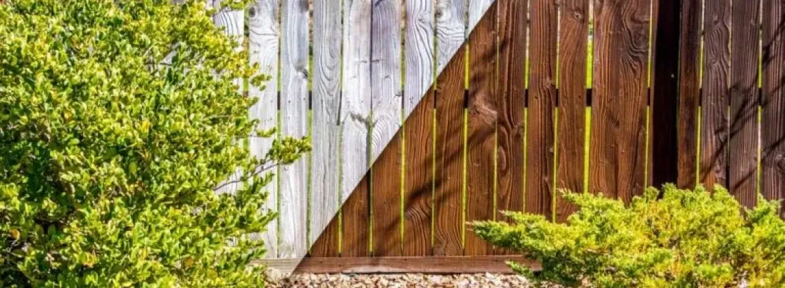 before and after stained fence transition