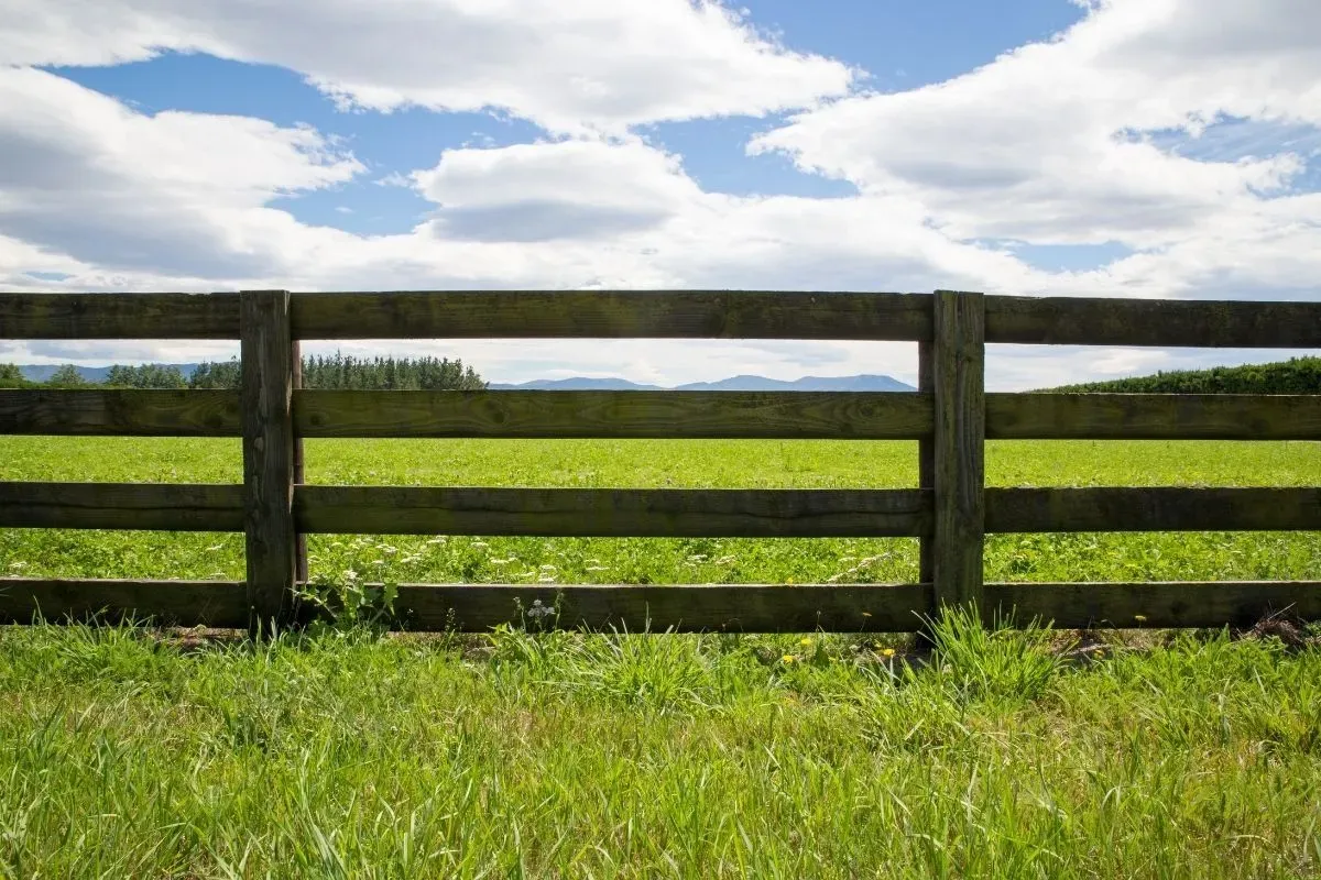 The Ultimate Guide to Farm Fencing Solutions