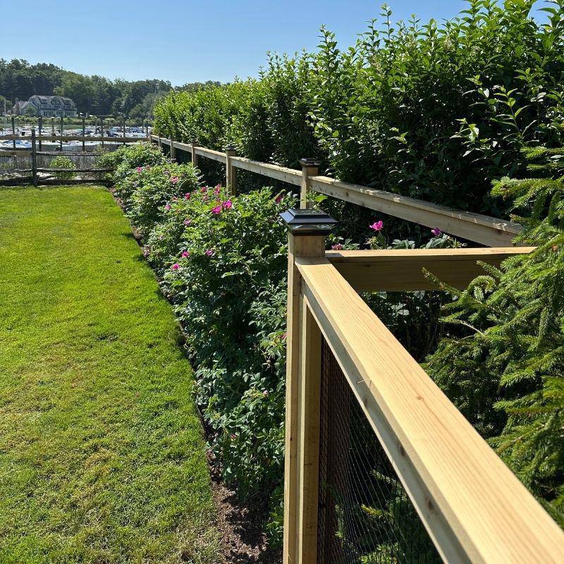 Cedar Framed Fence with Black Welded Wire