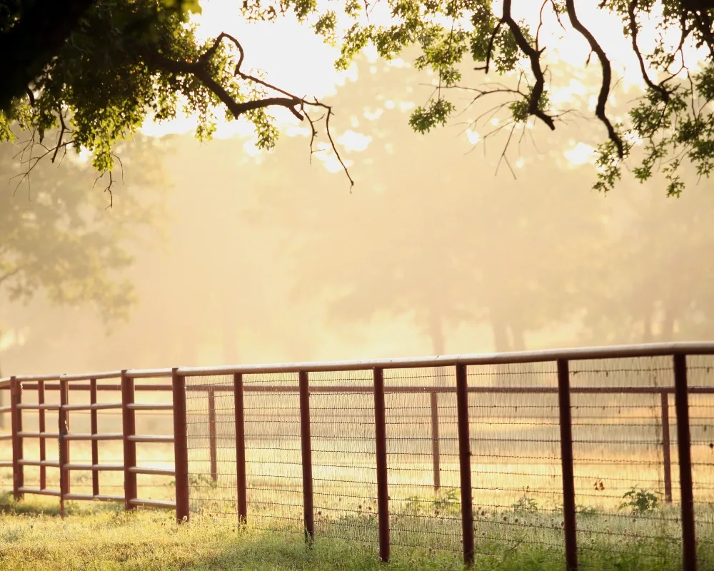 steel post agricultural fencing