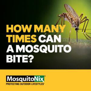 MosquitoNix Ad