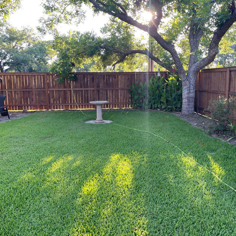 Steel-Post Wood Privacy Fence and Gate