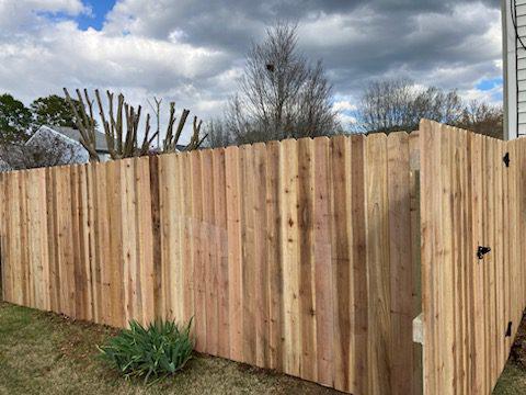 Cedar Privacy Fence Replacement