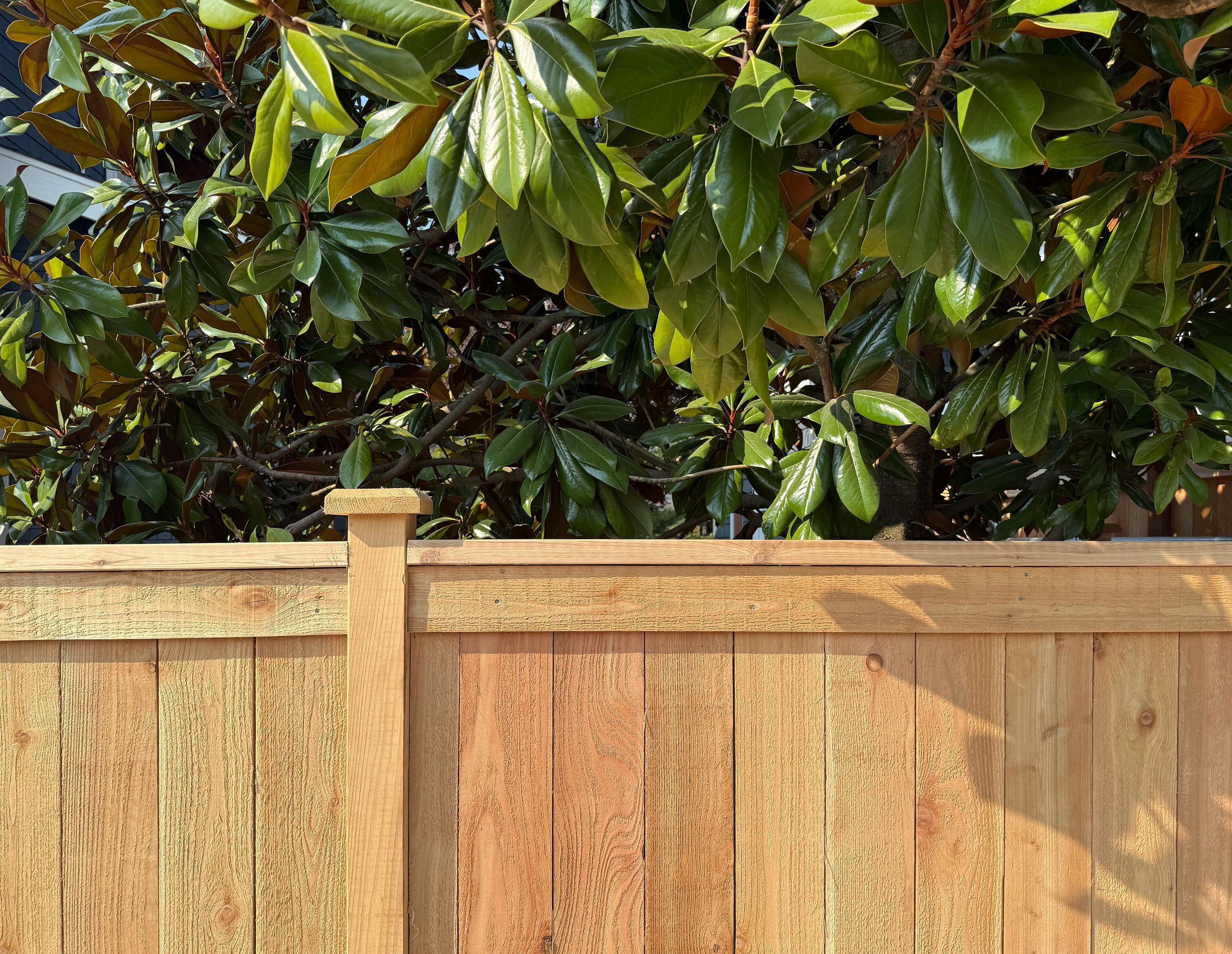 wood cap and trim fence installed by top rail fence