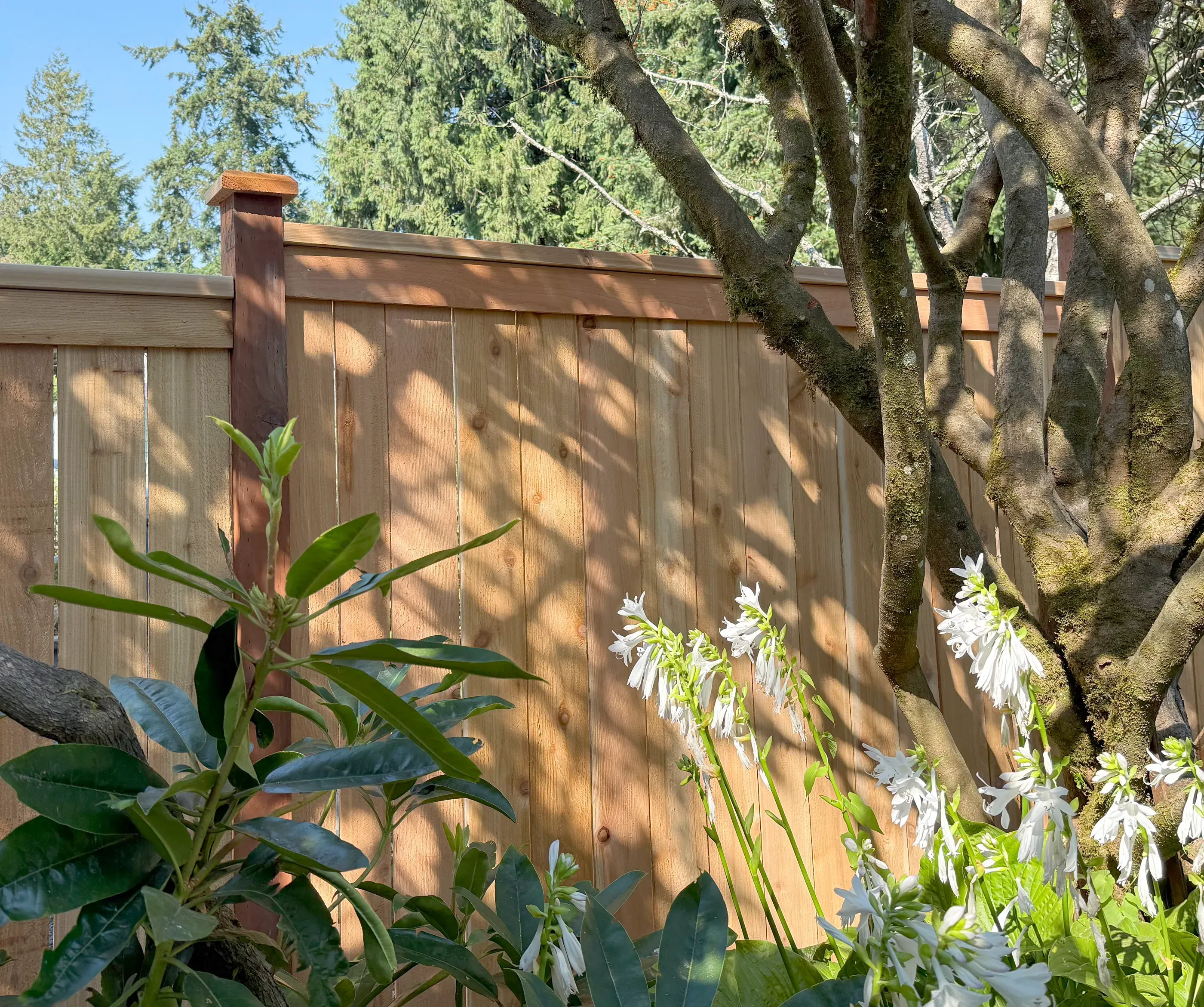 wood cap and trim fence installed by top rail fence