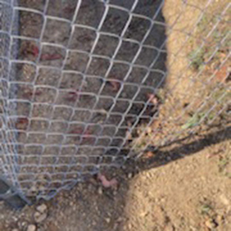 5ft Residential Chain Link Repair