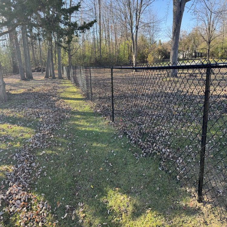 Vinyl-Coated Chain Link Fence Installation
