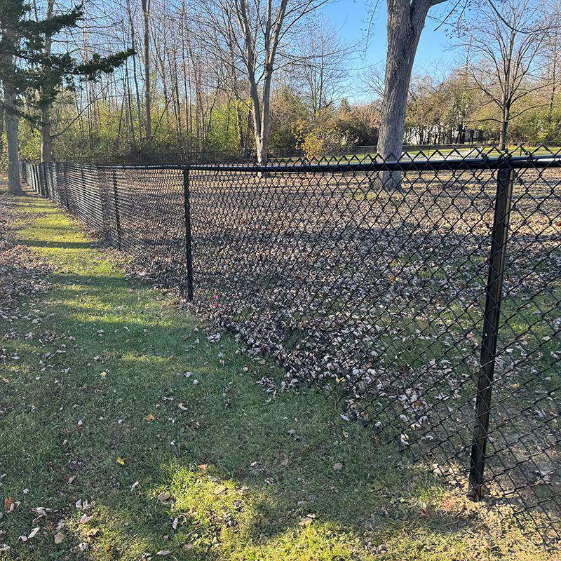 PVC Coated Chain Link