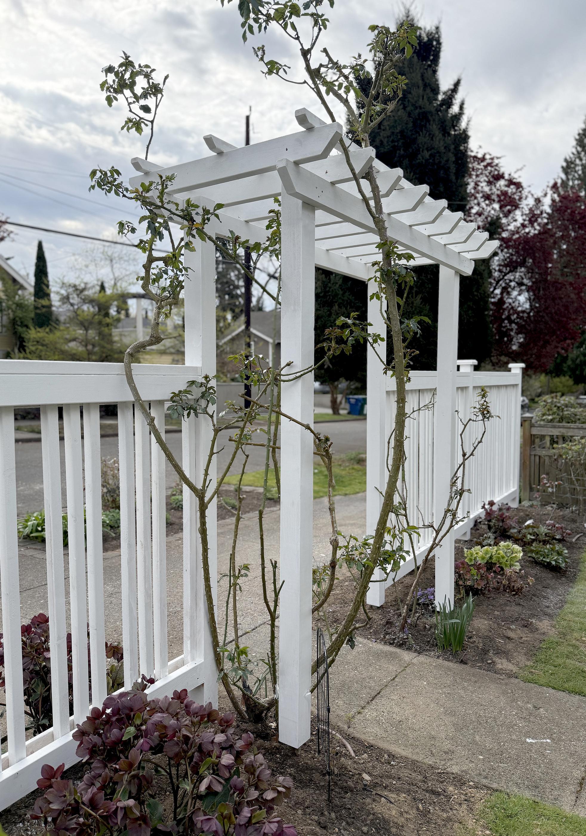 wood spaced board fence installed by top rail fence