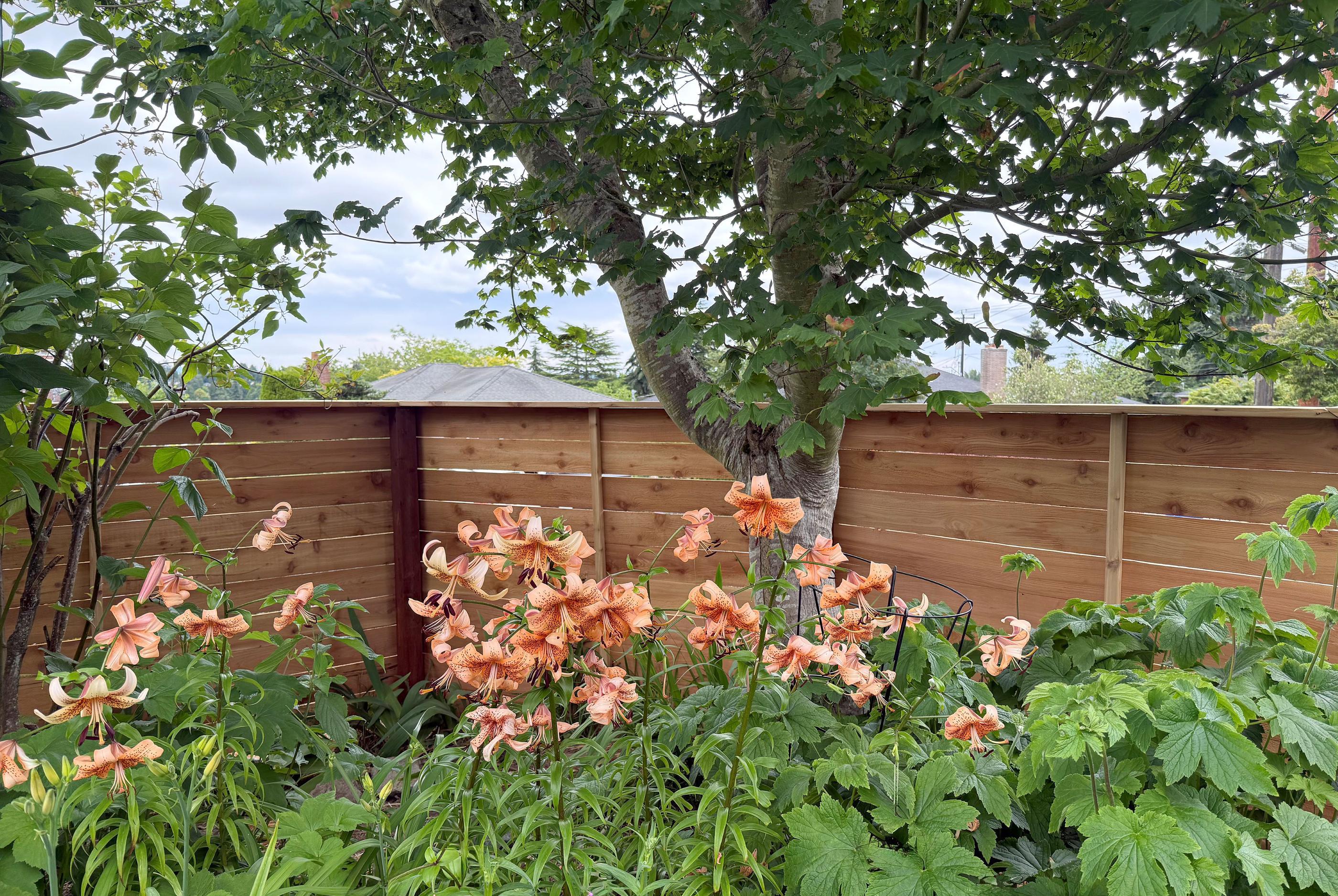 wood horizontal fence installed by top rail fence