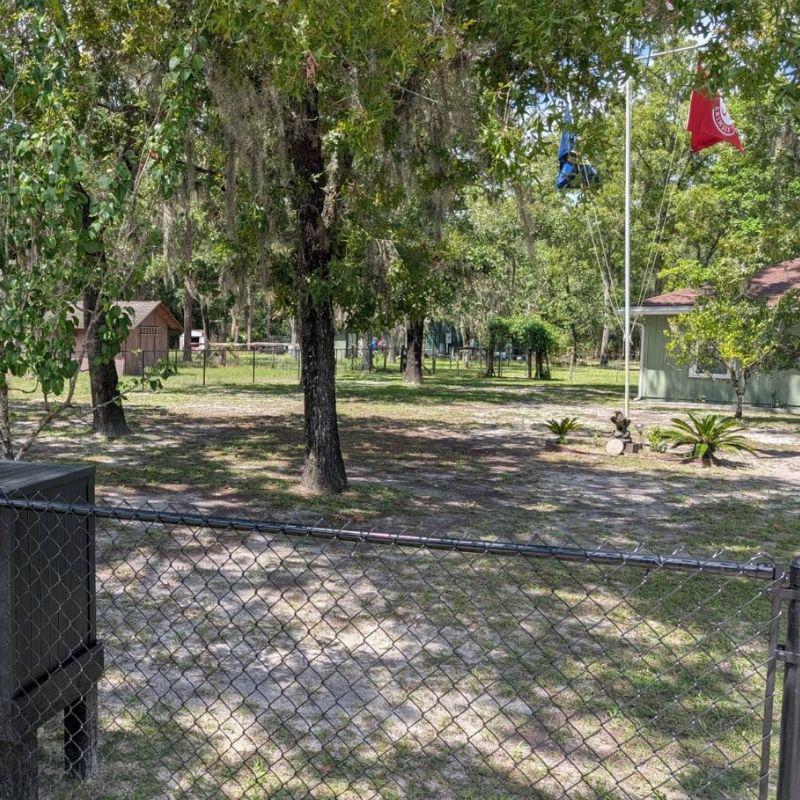 PVC Coated Chain Link