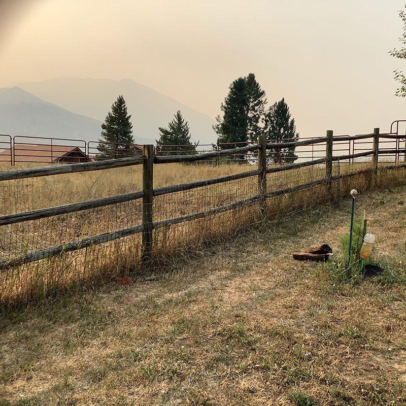 Deer Fence Installation