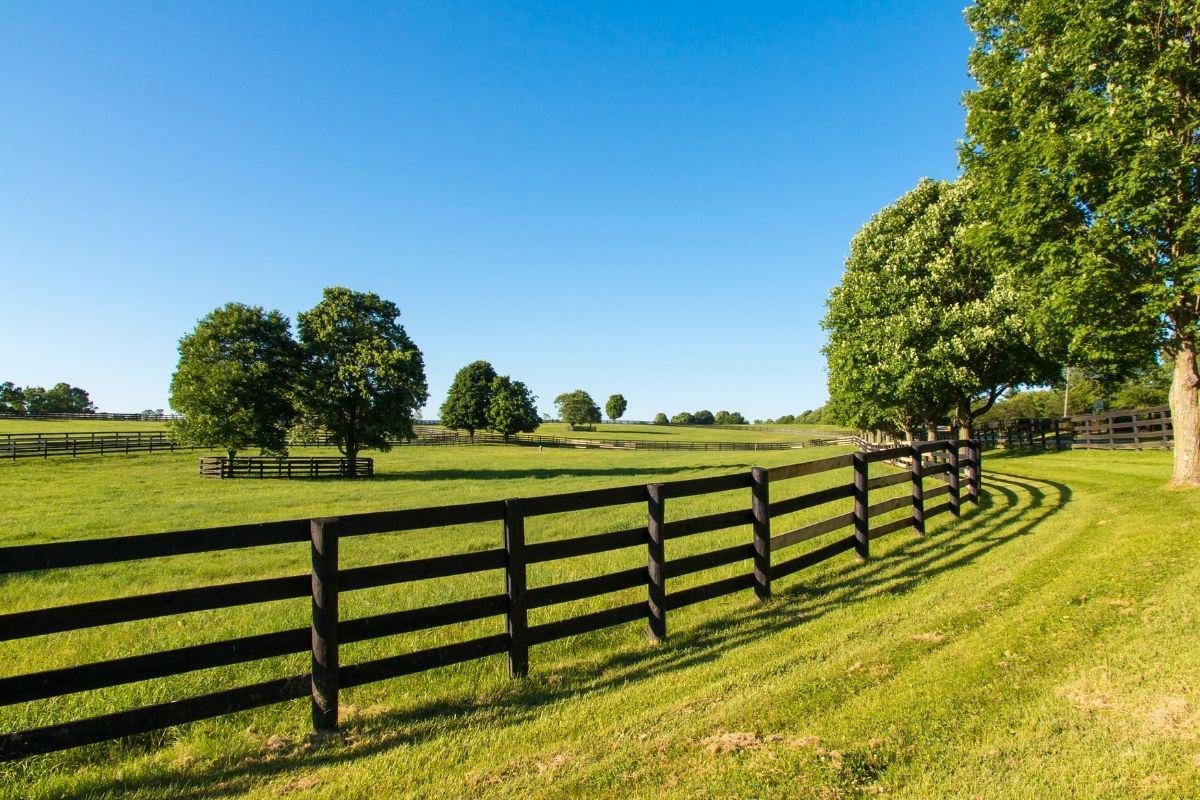 Can You Use Landscape Timbers for Fence Posts?