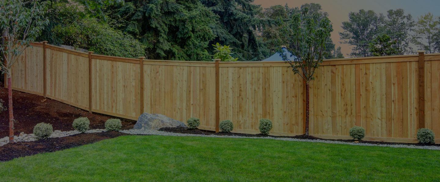 Dog standing in front of a metal fence