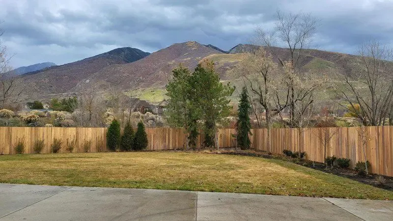 Wood Stockade Backyard Fence