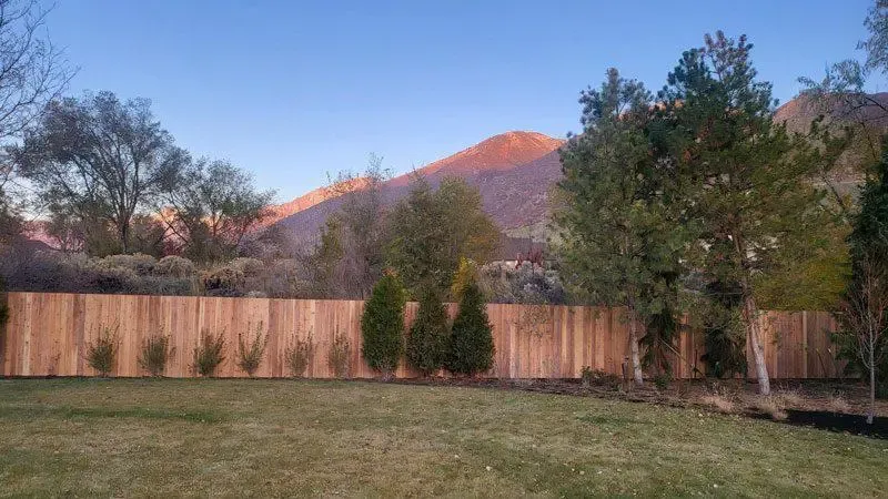 wood stockade fence installed by top rail fence