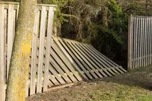 fallen fence section