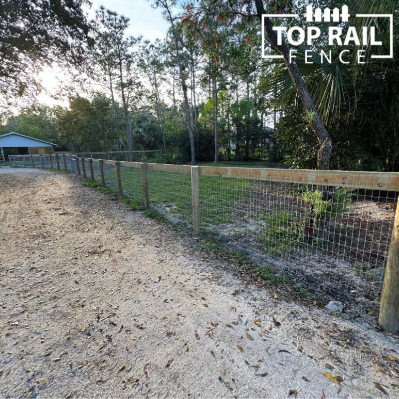 no climb horse wire fence installed by Top Rail Fence