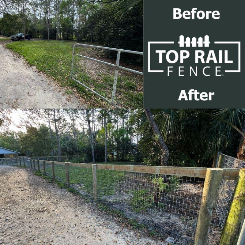 Before and after of a no climb horse wire fence