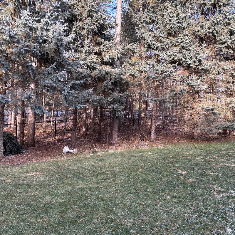 4' Black Chain Link Fence Installation