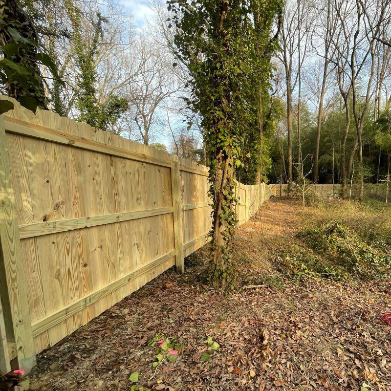 6 ft high dog-ear fence