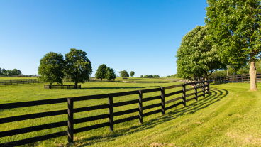 A pasture with a wooden fence