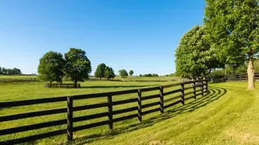 ranch rail wood fence